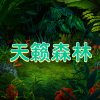 天籁森林