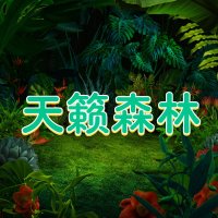 天籁森林